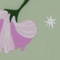 In Bloom